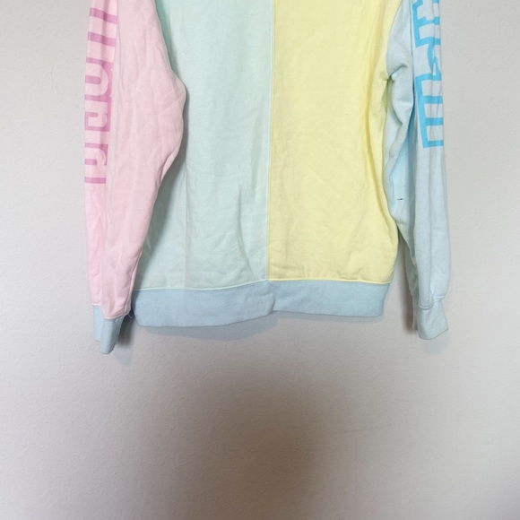 Walt Disney World Pastel Logo Colorblock Hoodie Sweatshirt Unisex Sz Medium - Picture 11 of 13